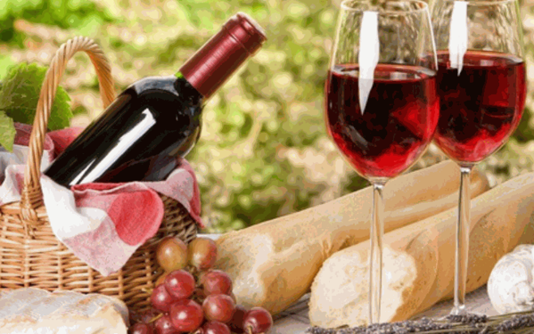 九日高飞葡萄酒庄